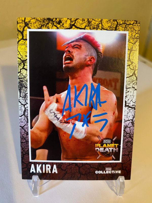 Akira $40