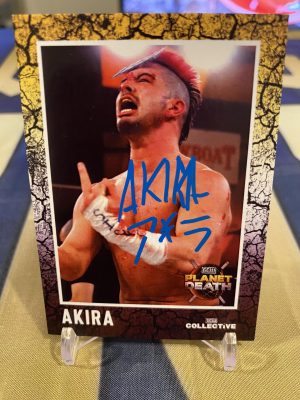 Akira $15