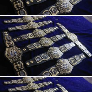 PWJ Replica Mini Championship Title